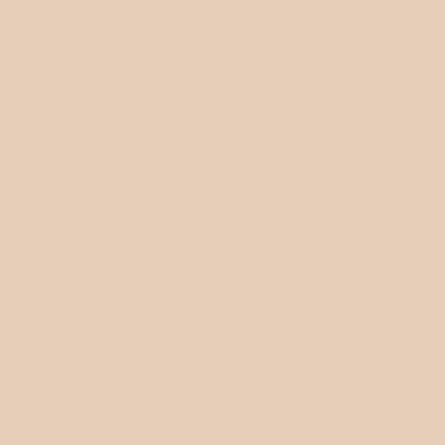 Blur Concealer