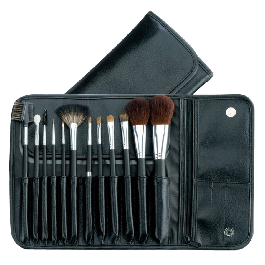 Artist's Cosmetic Brush Collection
